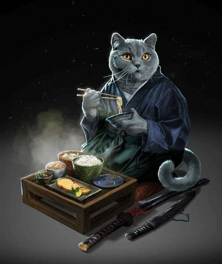 Kat-Fu Kitty pussel online från foto