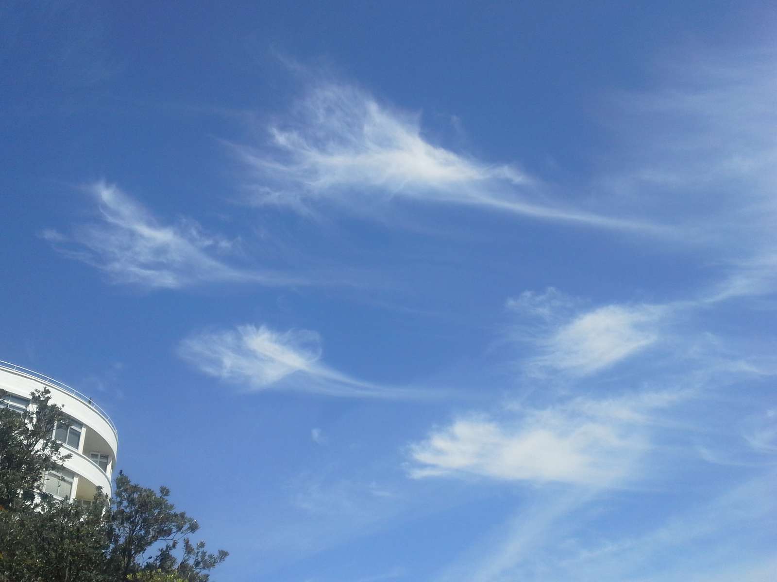 formación de nubes rompecabezas en línea