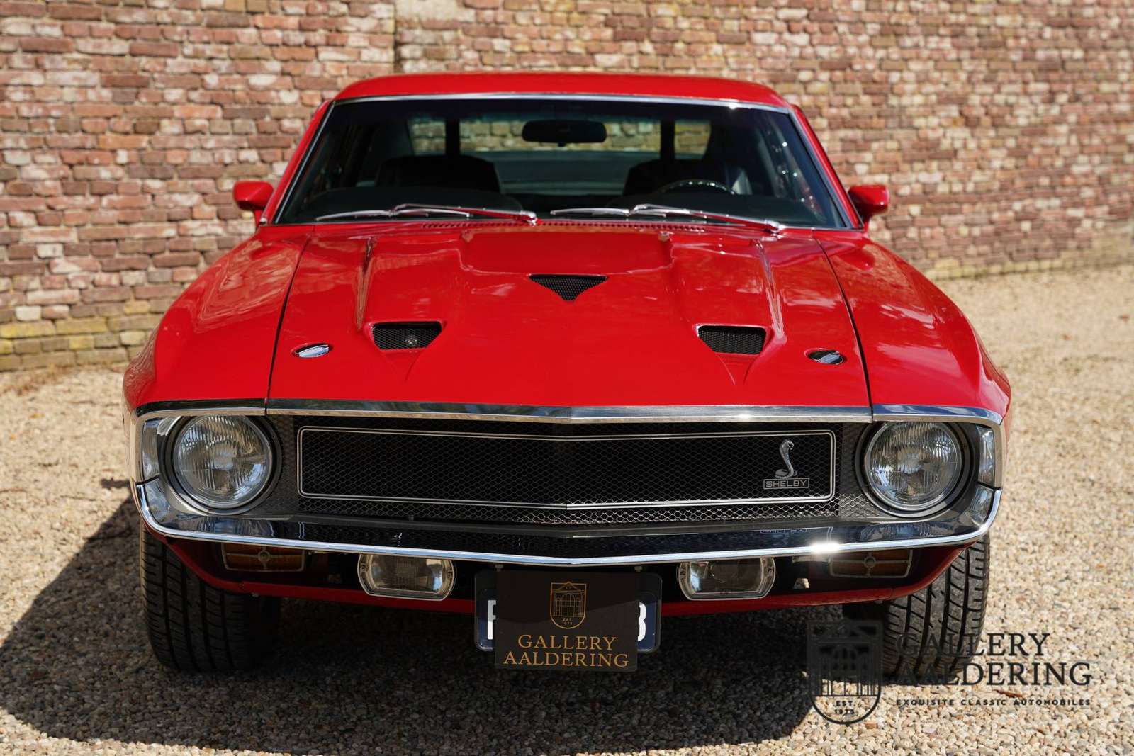 Shelby Mustang pussel online från foto