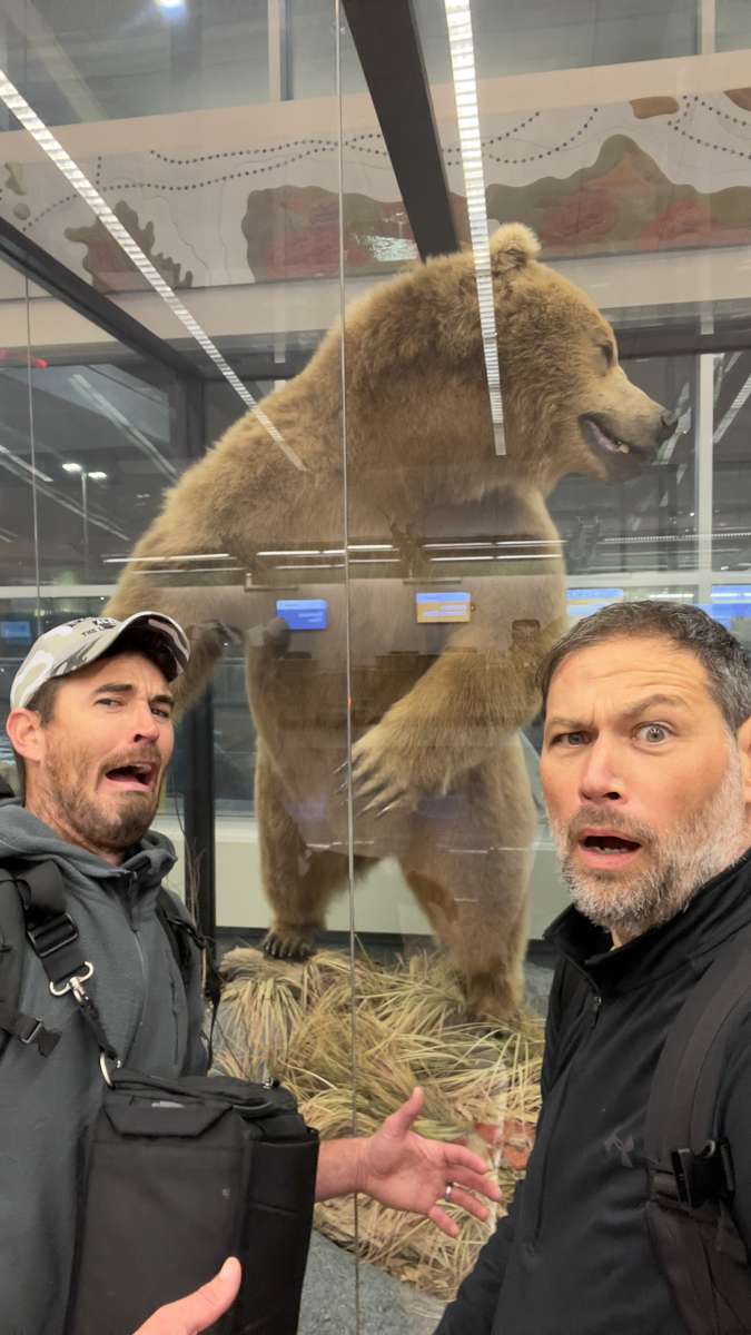 Аляскинский медведь пазл онлайн из фото