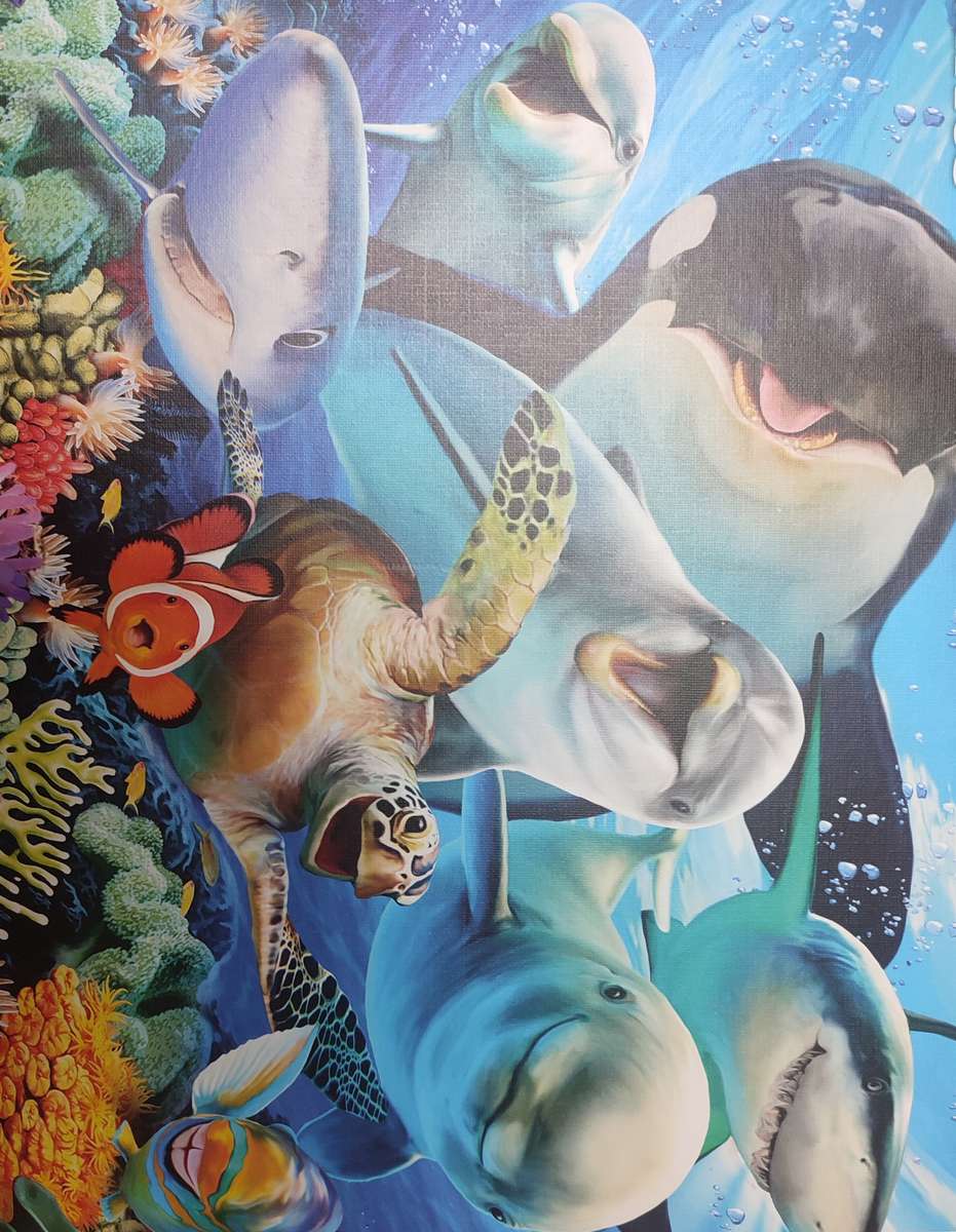 Pesce tropicale puzzle online da foto