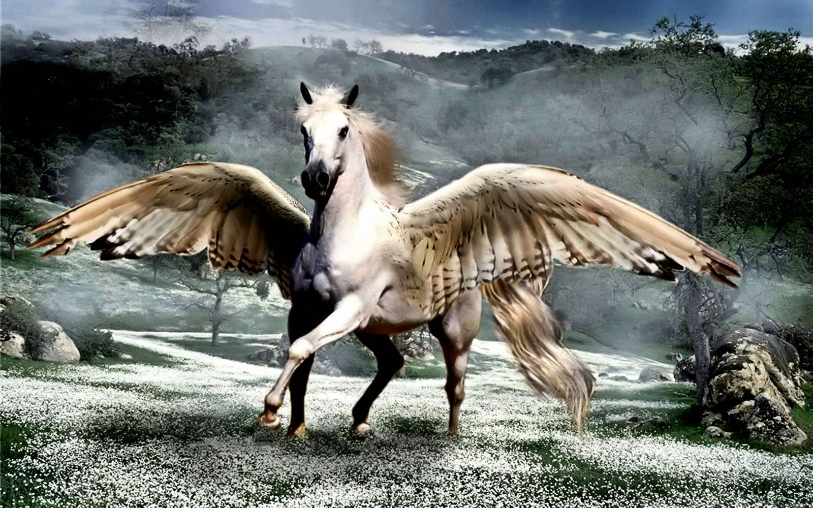 Pegasus In Flux puzzle online from photo