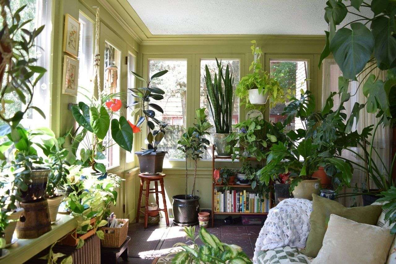 Plant Porch online puzzle