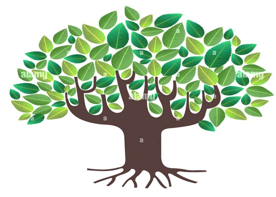 albero genealogico puzzle online