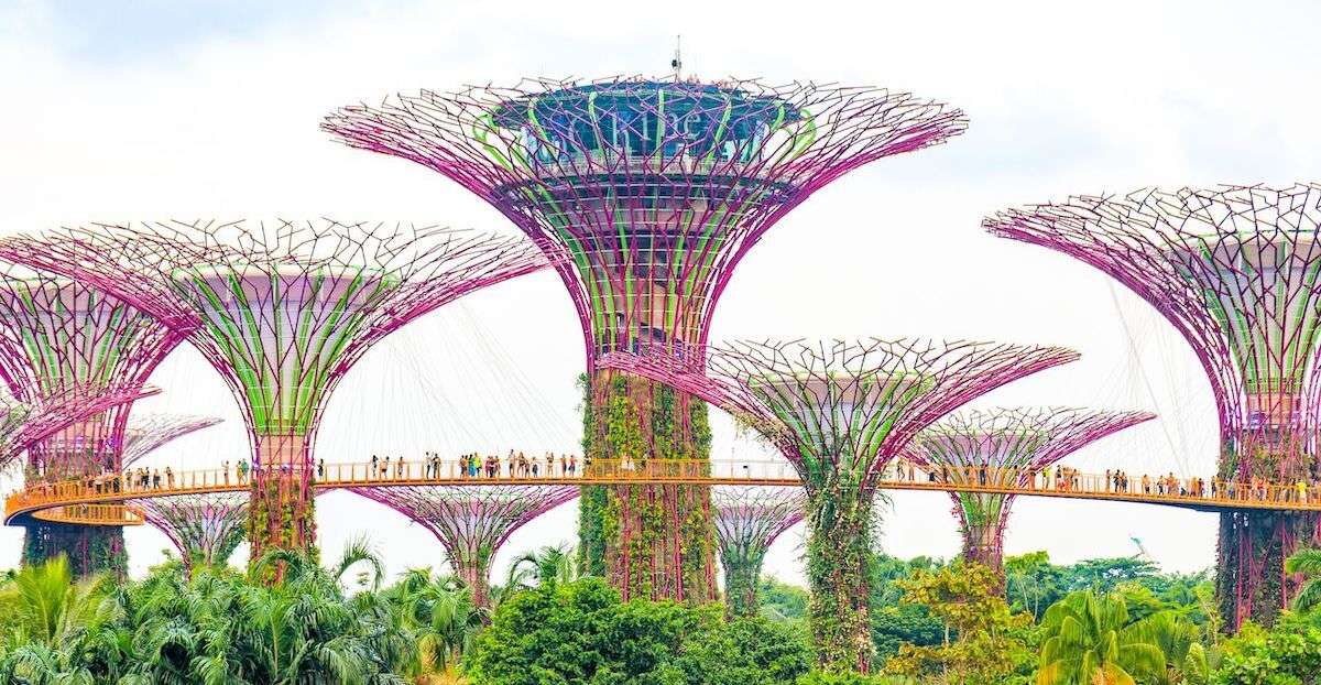 Сингапурские сады у залива онлайн-пазл