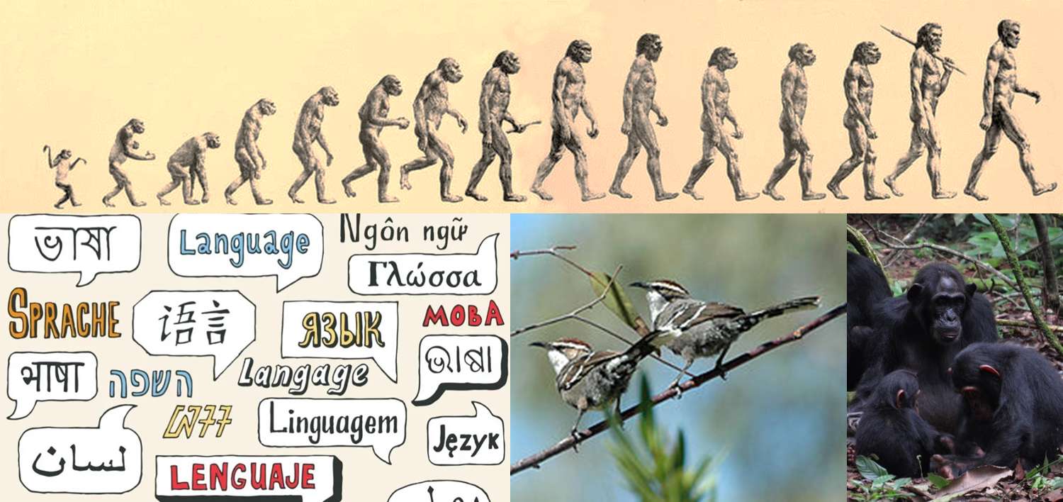 эволюция языка онлайн-пазл