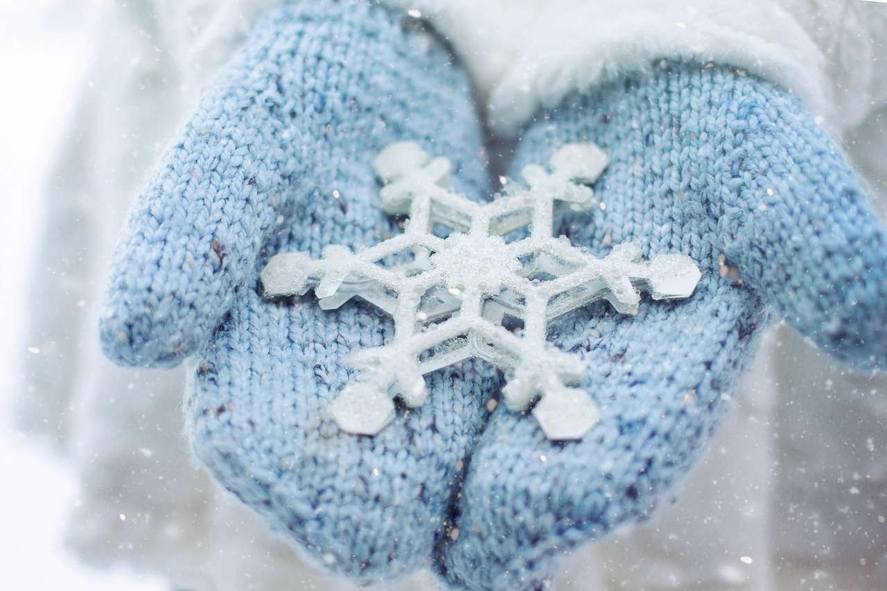 COPO DE NIEVE rompecabezas en línea