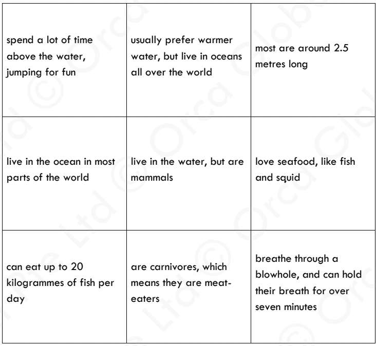 fakt 1 zvíře online puzzle