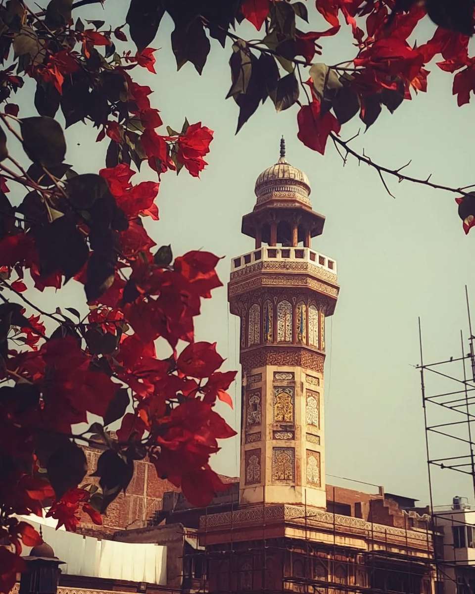 Masjid wazir Khan puzzle online a partir de fotografia