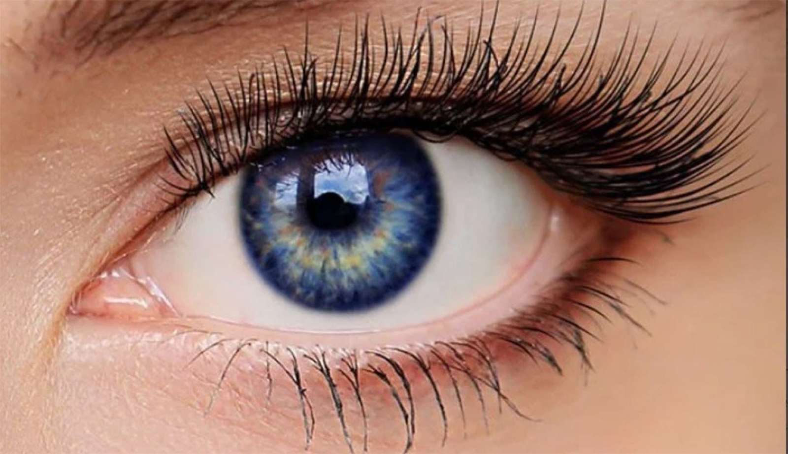 Ανοιχτή μπλε ίριδα με τα μάτια παζλ online από φωτογραφία
