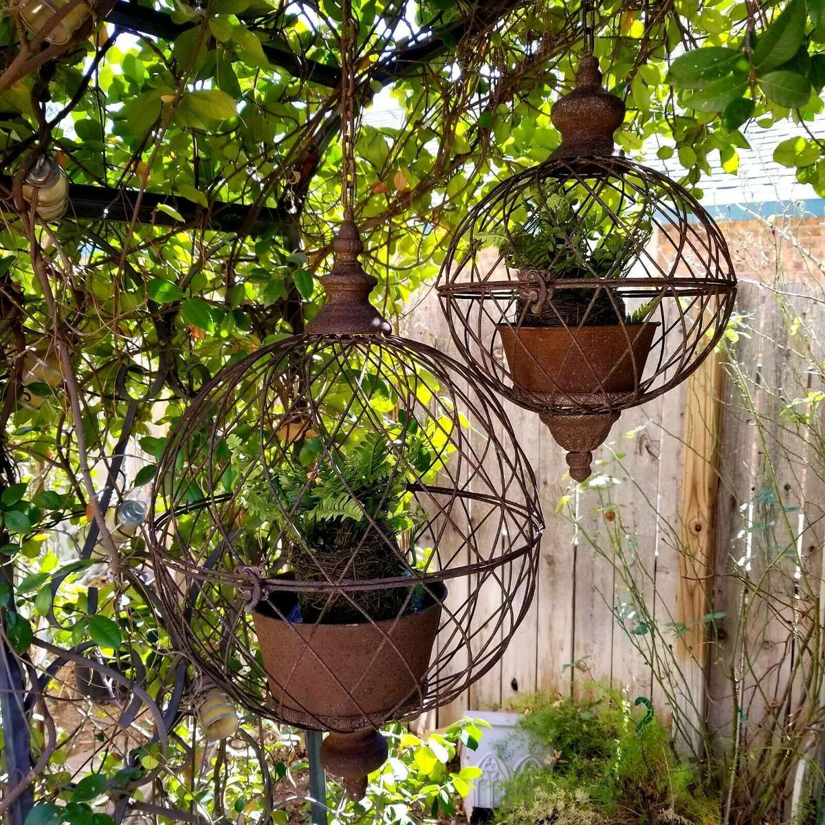 Hanging Plants puzzle online from photo
