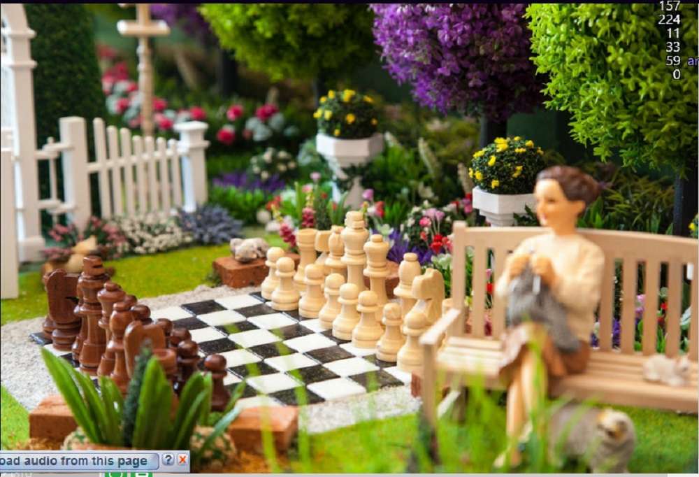 Immagine degli scacchi nel parco puzzle online