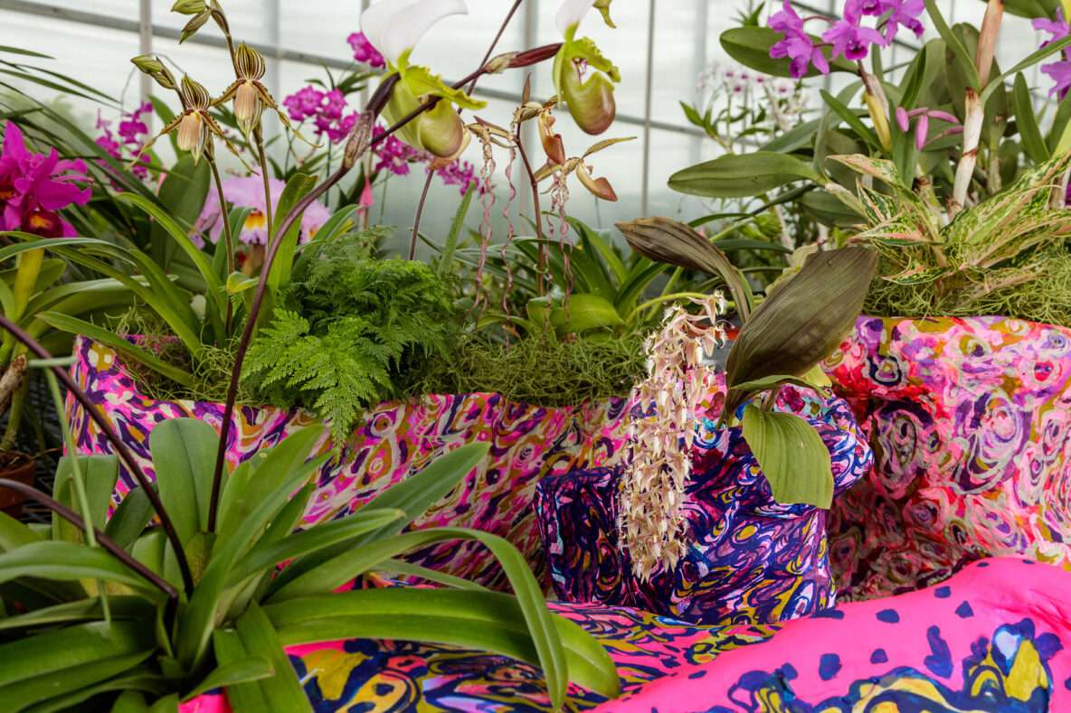 Орхідеї в теплиці онлайн пазл