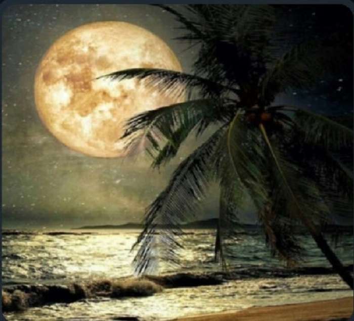 Місяць і пляж онлайн пазл