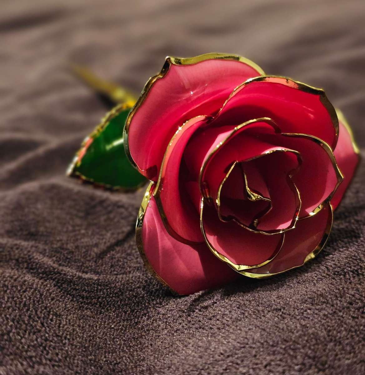 Růžová růže online puzzle