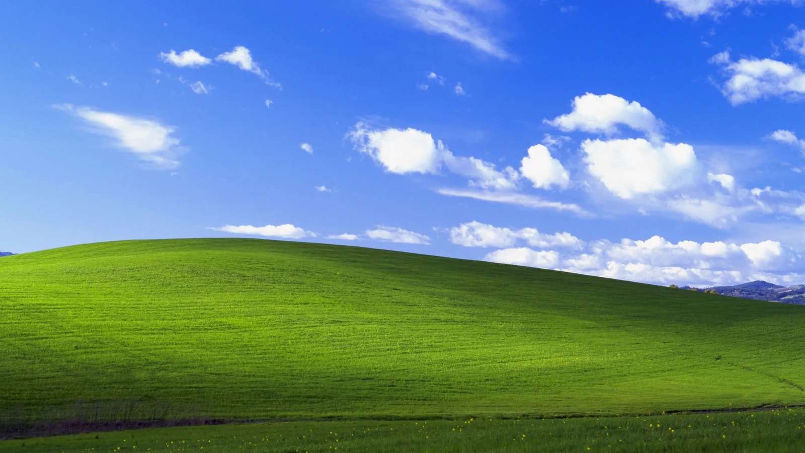 Sfondo di Windows XP per Bliss puzzle online da foto