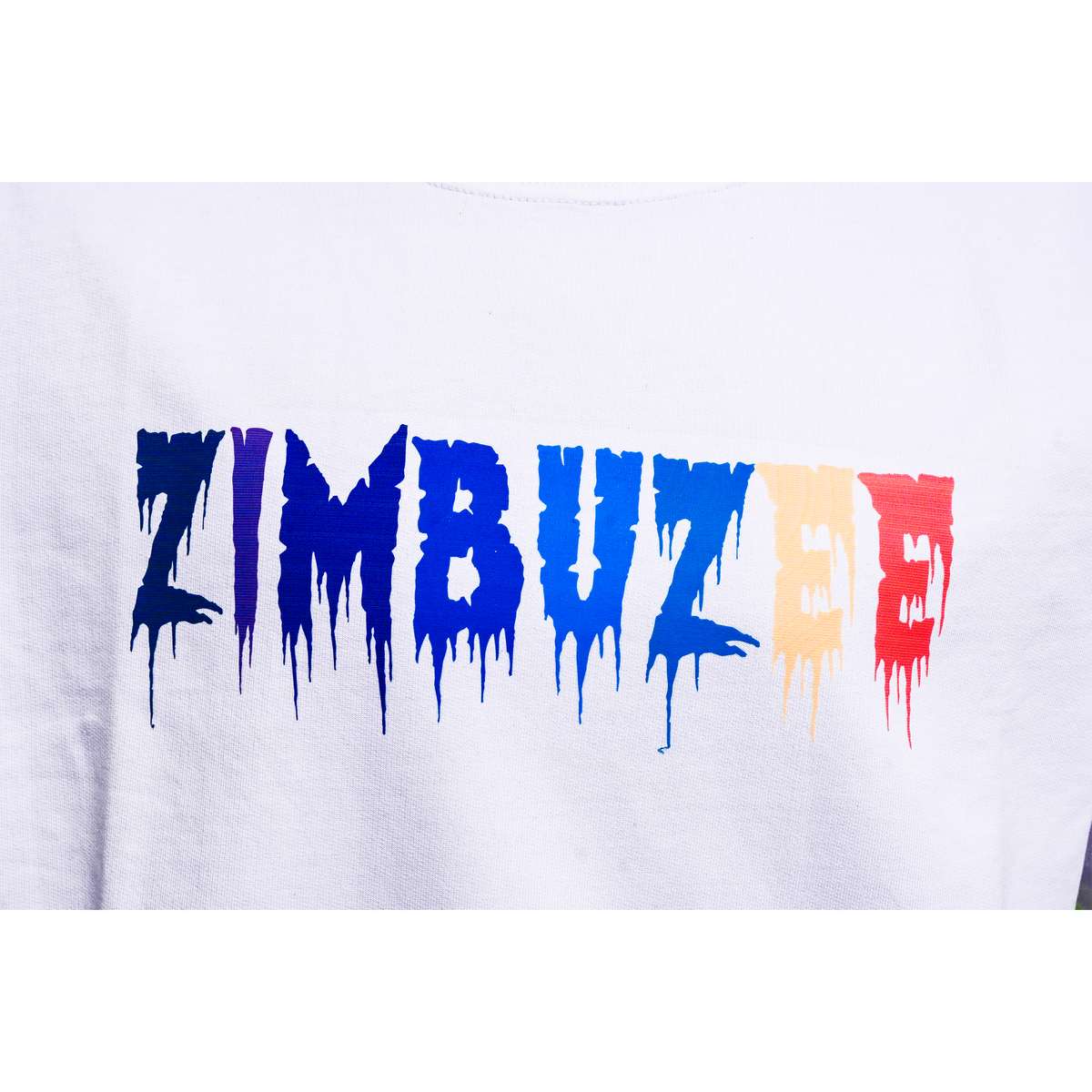 ZIMBUZ puzzle online