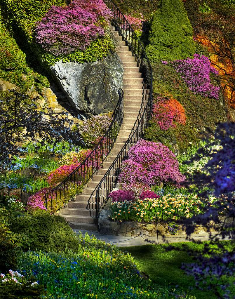 Botanikai lépcsők online puzzle