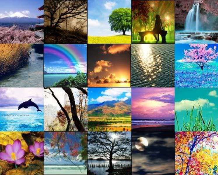 Nature Gallery online puzzle