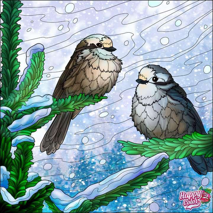 Winter bird puzzle online from photo