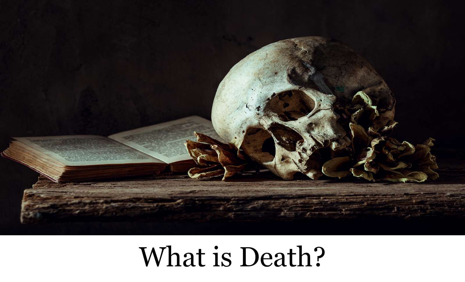 ¿Qué es la muerte? rompecabezas en línea