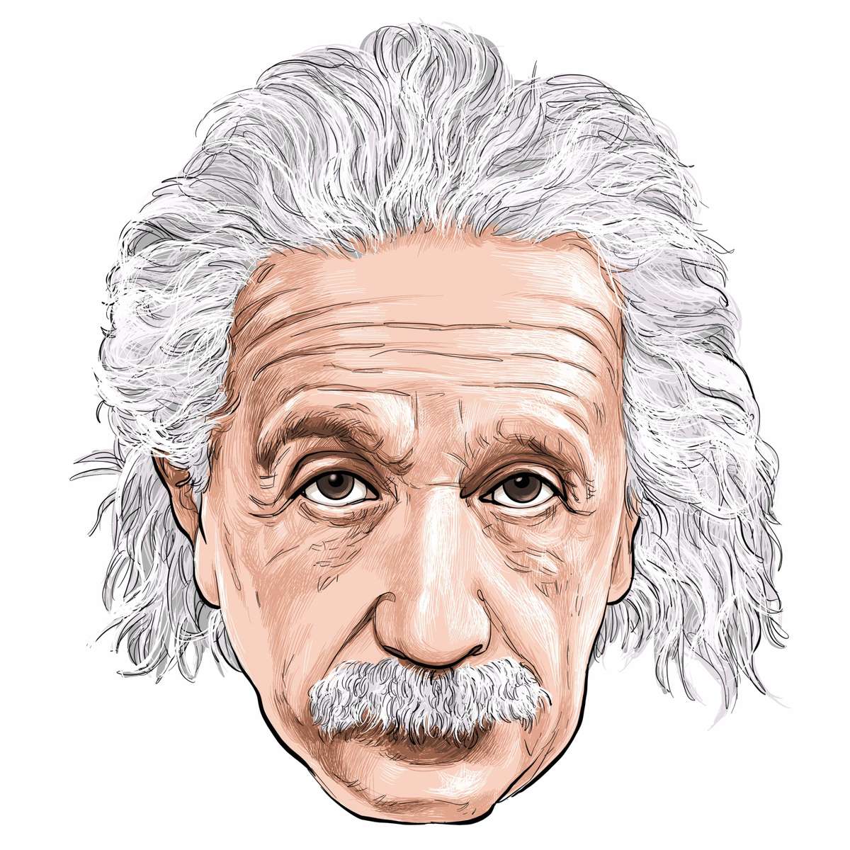 Einstein puzzle en ligne
