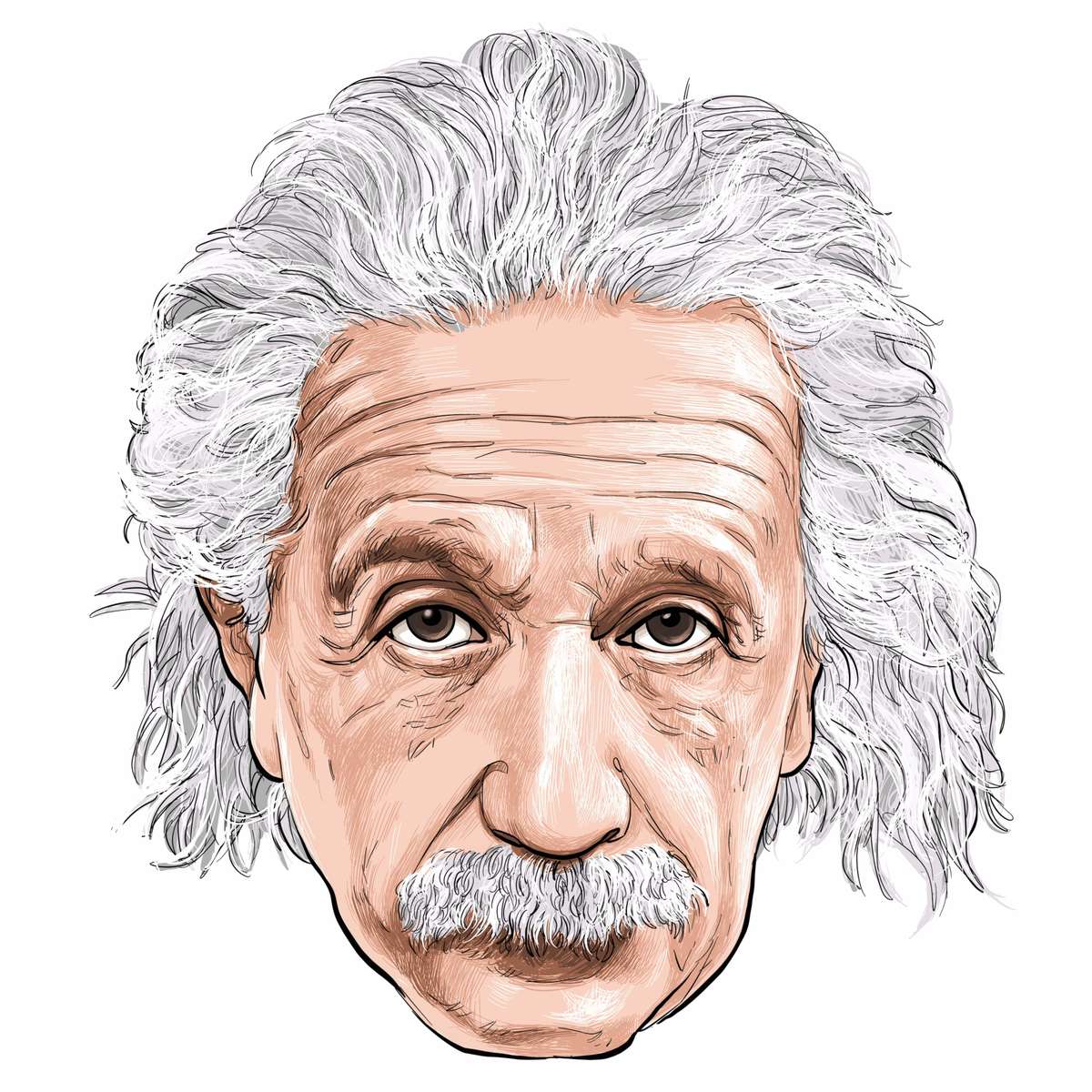 Einstein rompecabezas en línea