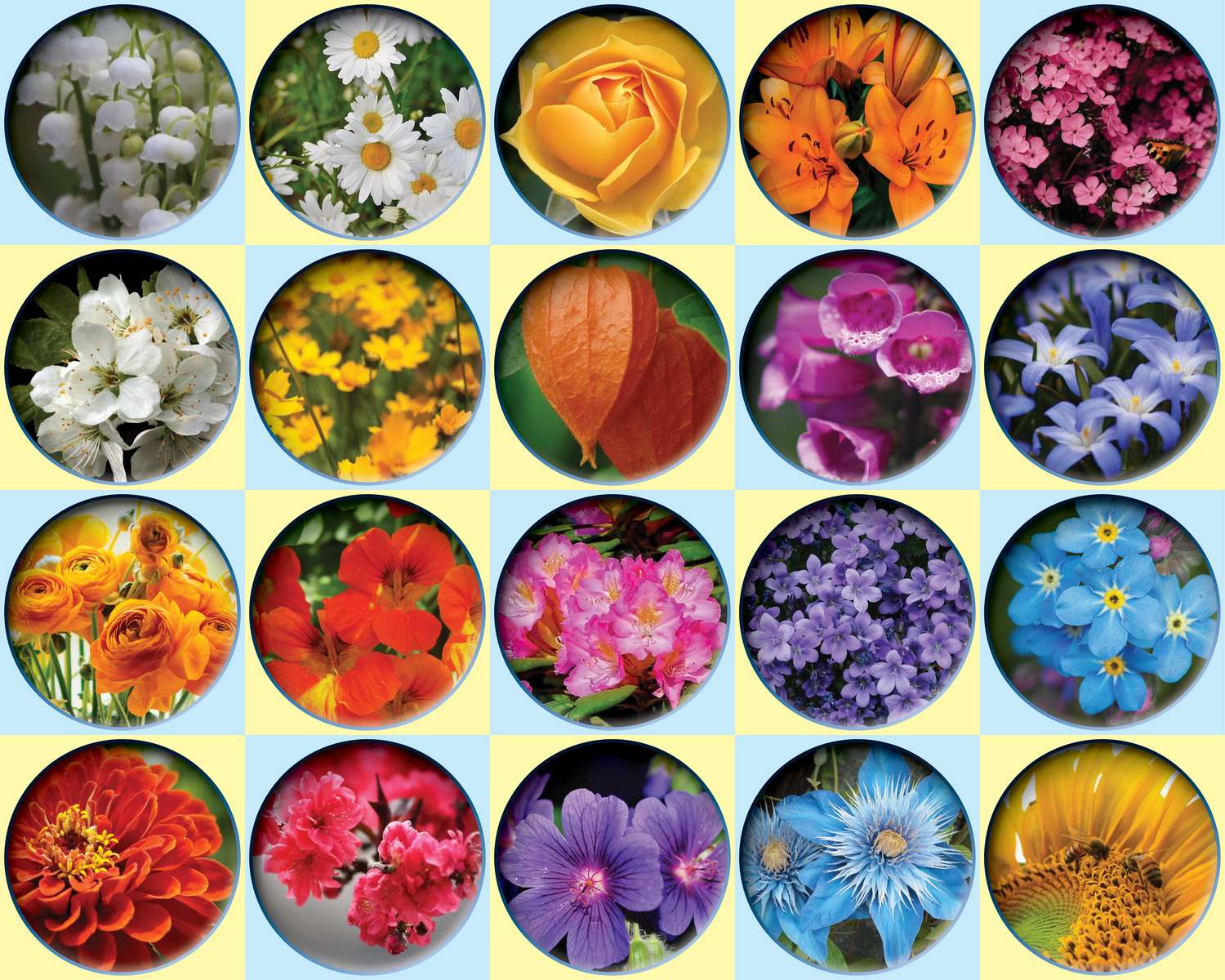 multicolored flowers puzzle online from photo