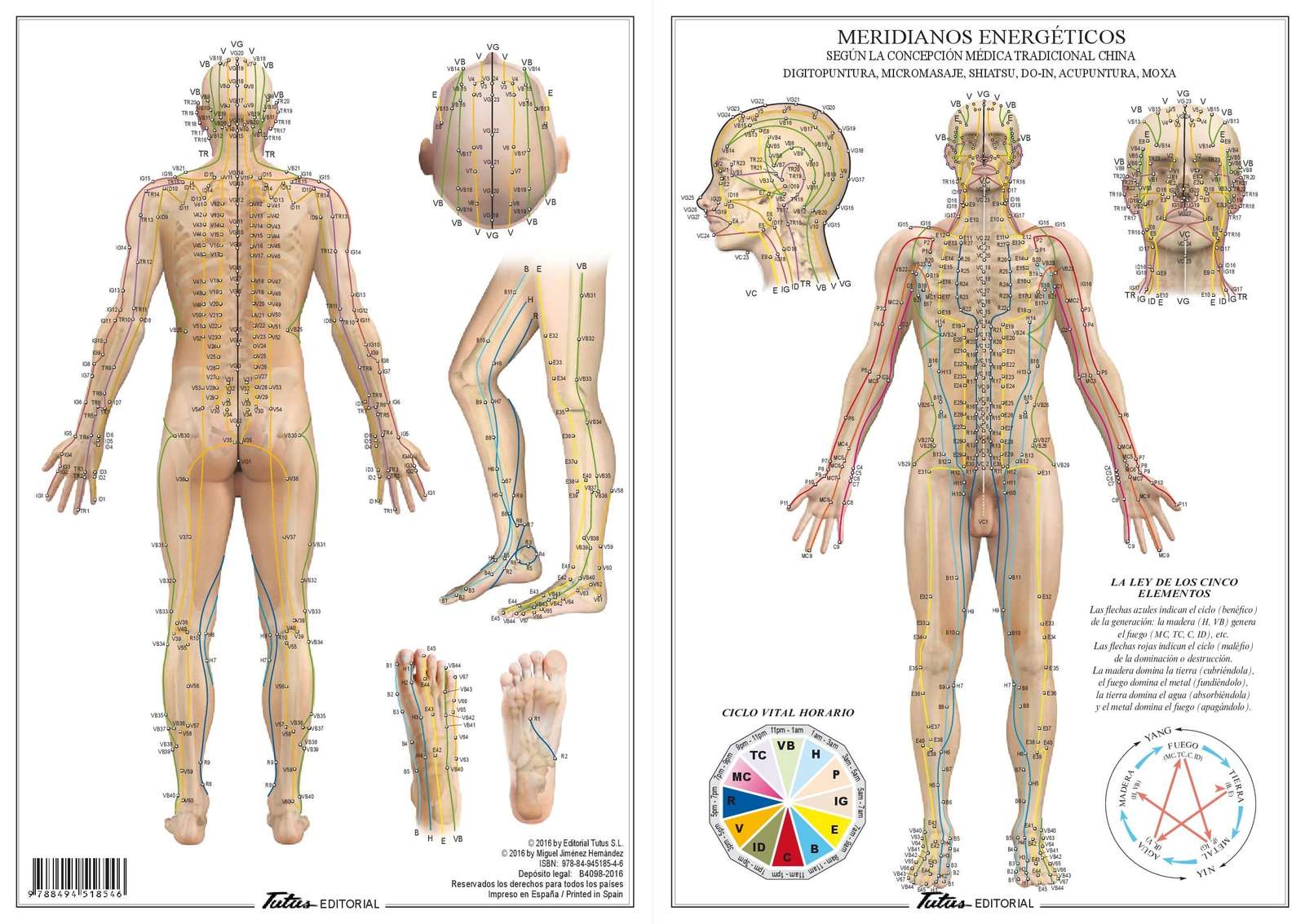 acupuntura rompecabezas en línea