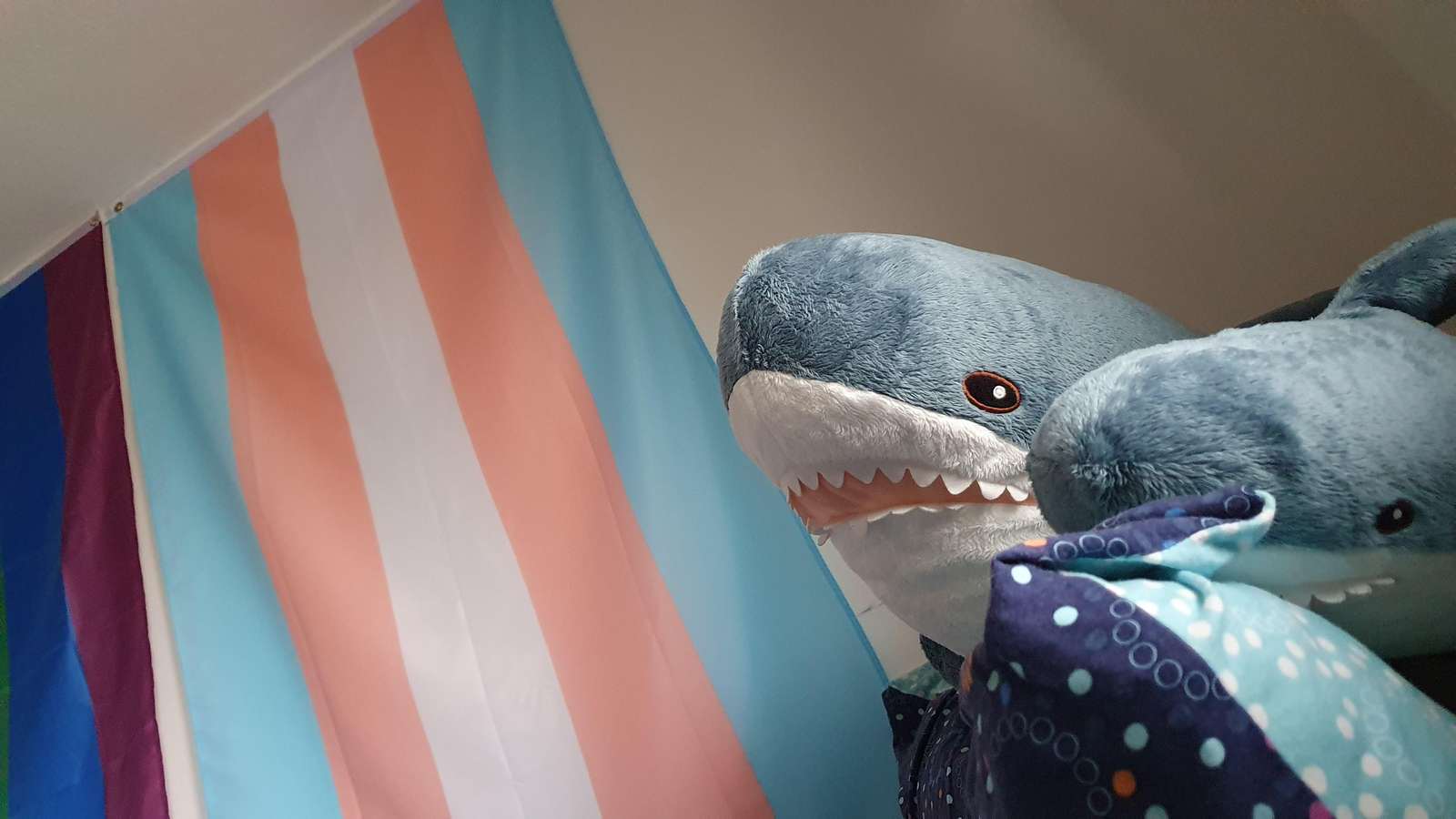 tiburón trans rompecabezas en línea