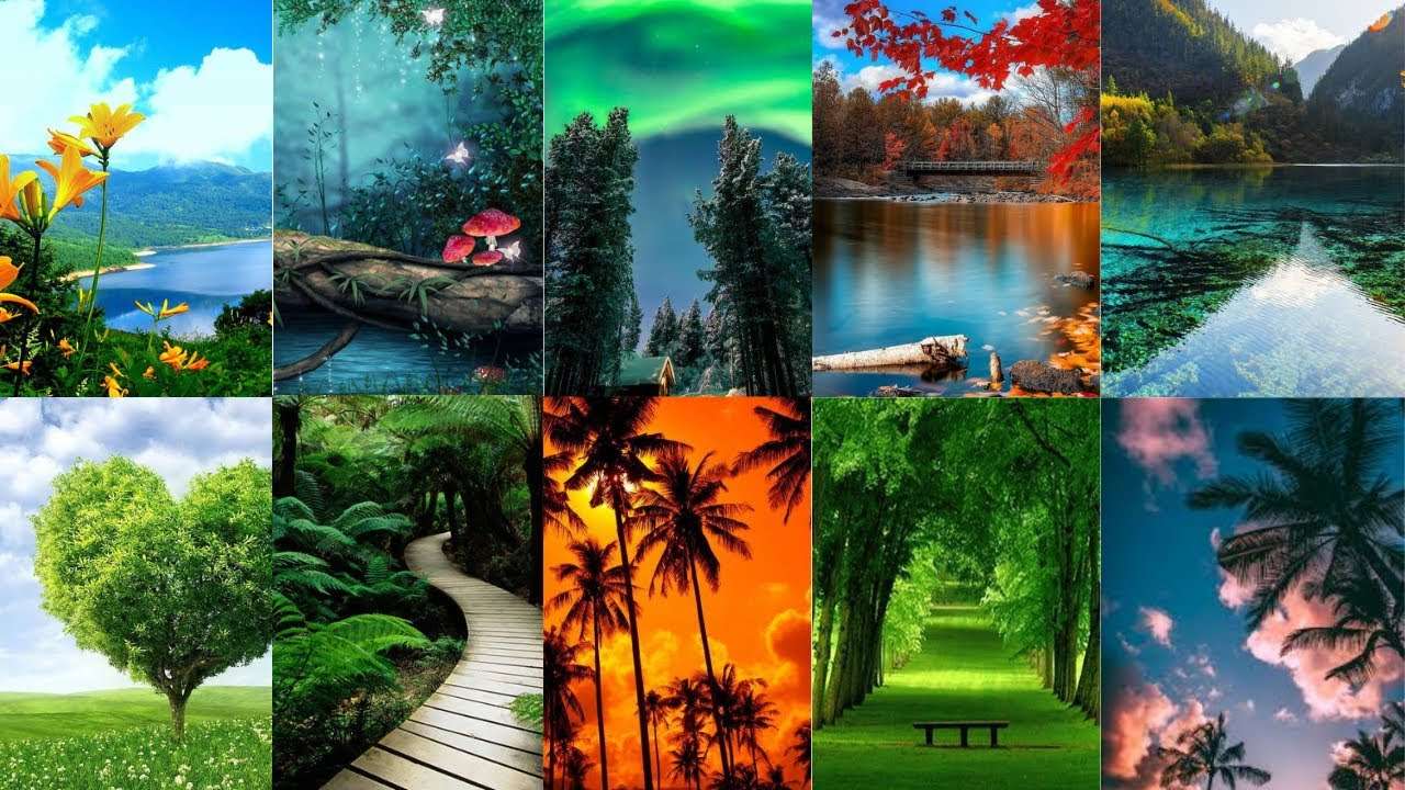 Collage della natura puzzle online