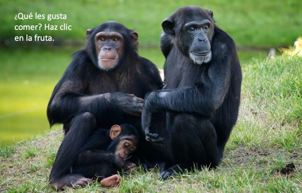 monos español rompecabezas en línea