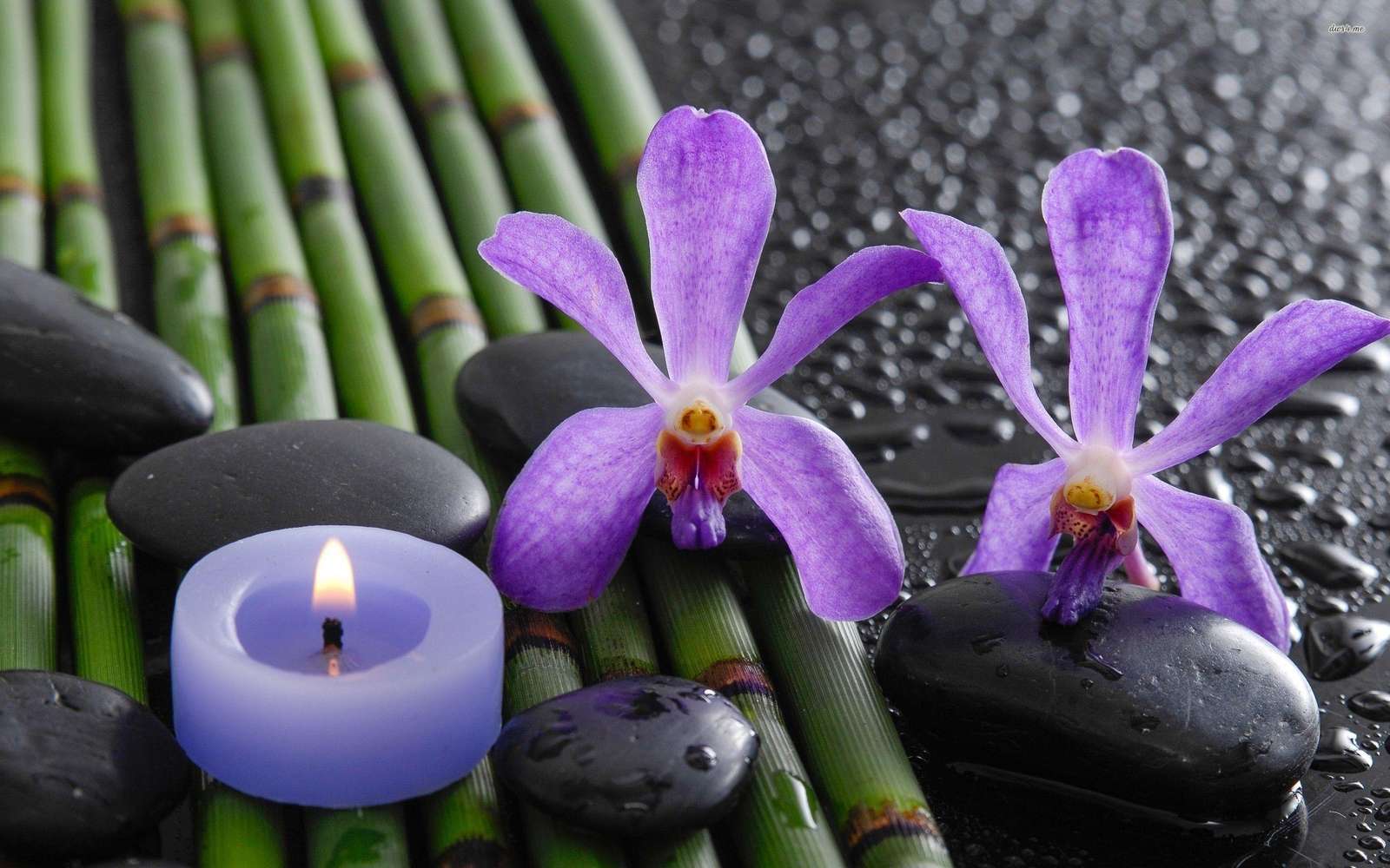 Orchid Zen Pussel online