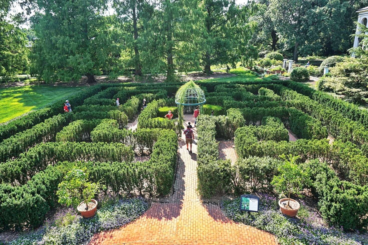 Labyrint se živým plotem puzzle online z fotografie