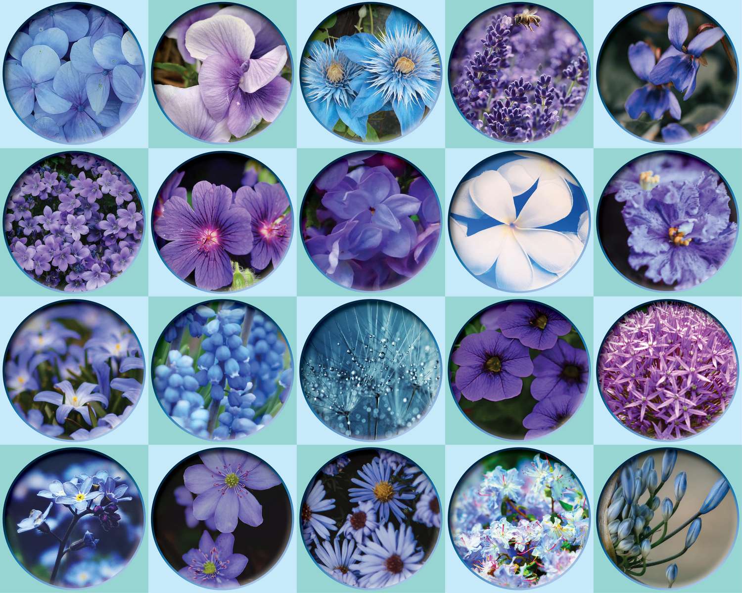 purple flowers puzzle online from photo