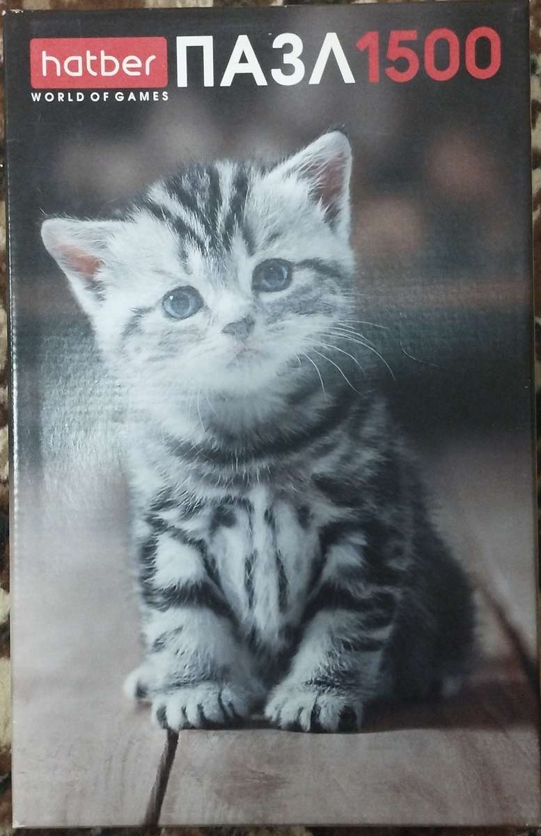 Kitten 1500 puzzle online from photo