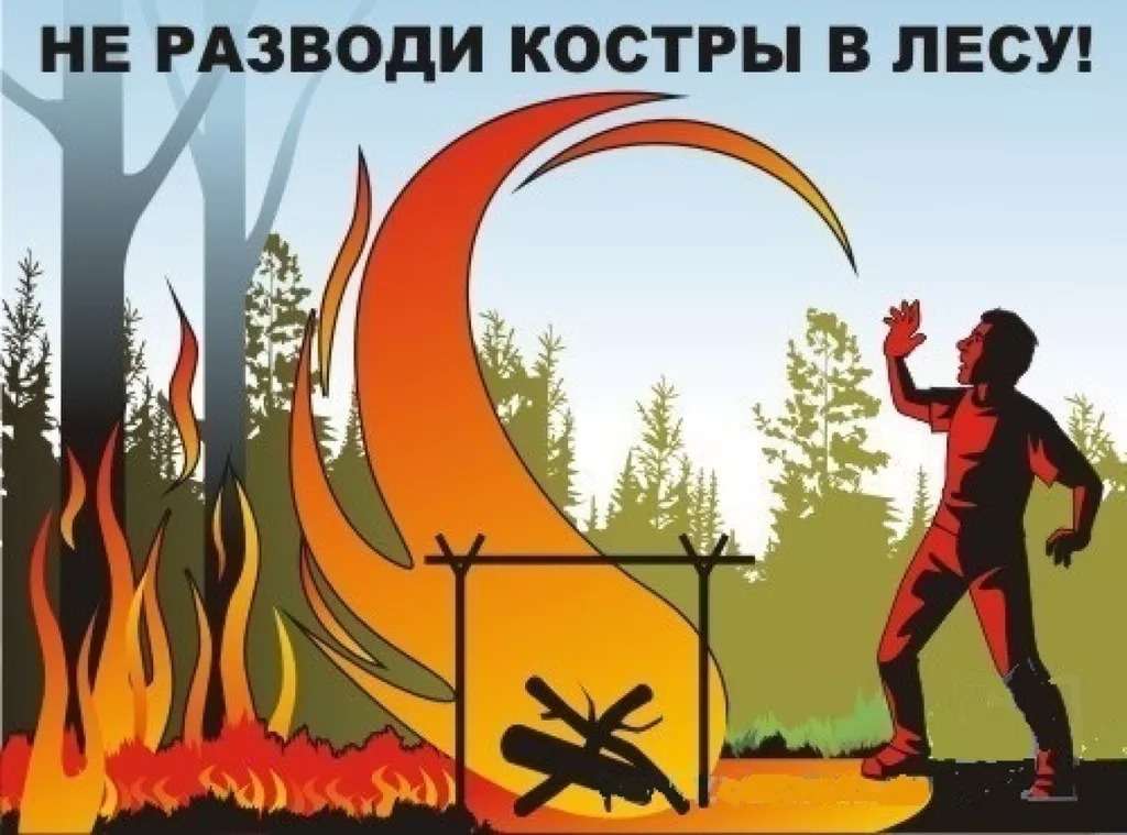 森の焚き火 写真からオンラインパズル
