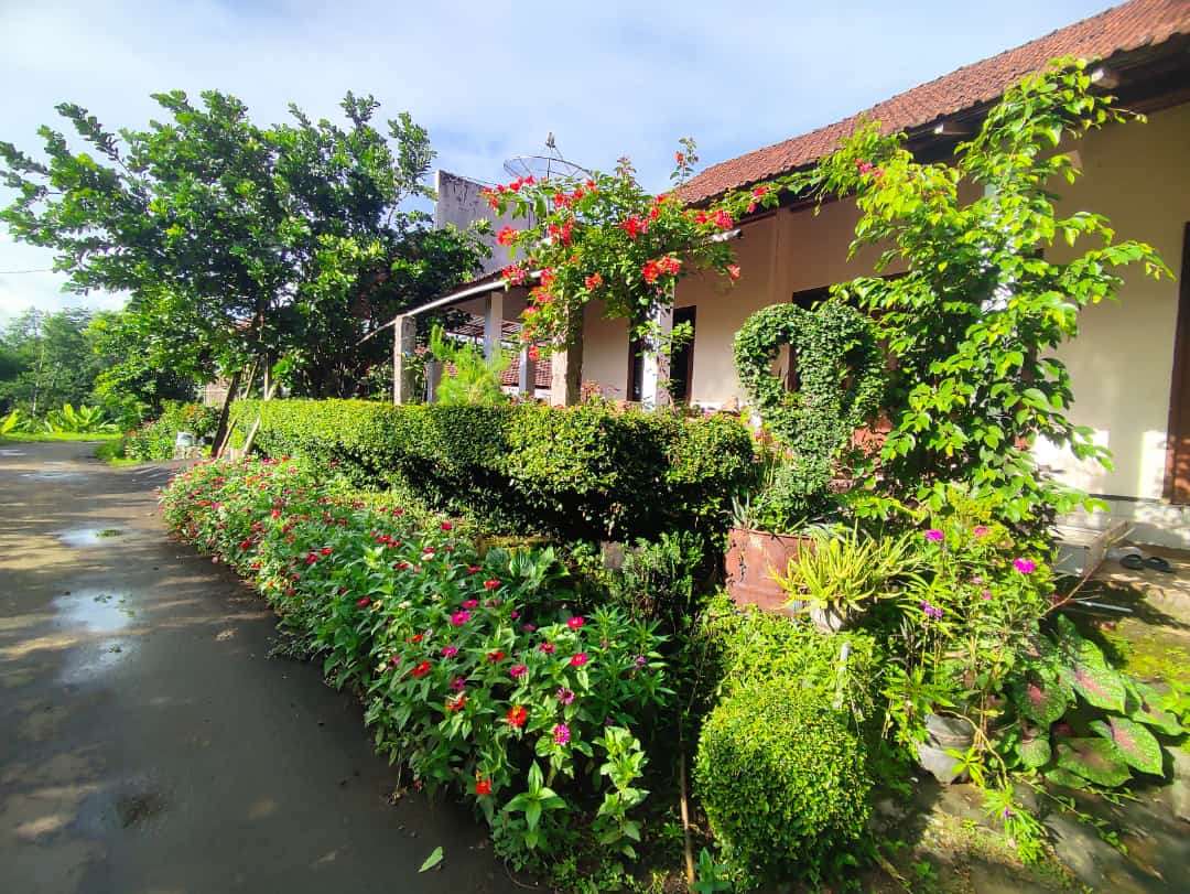 El jardín rompecabezas en línea