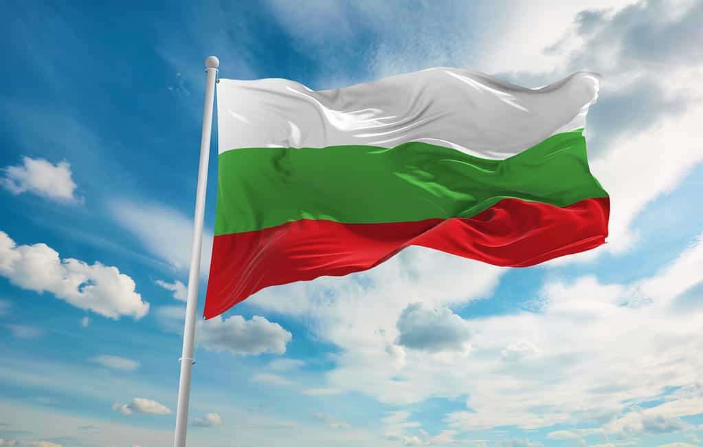 Българското знаме pussel online från foto