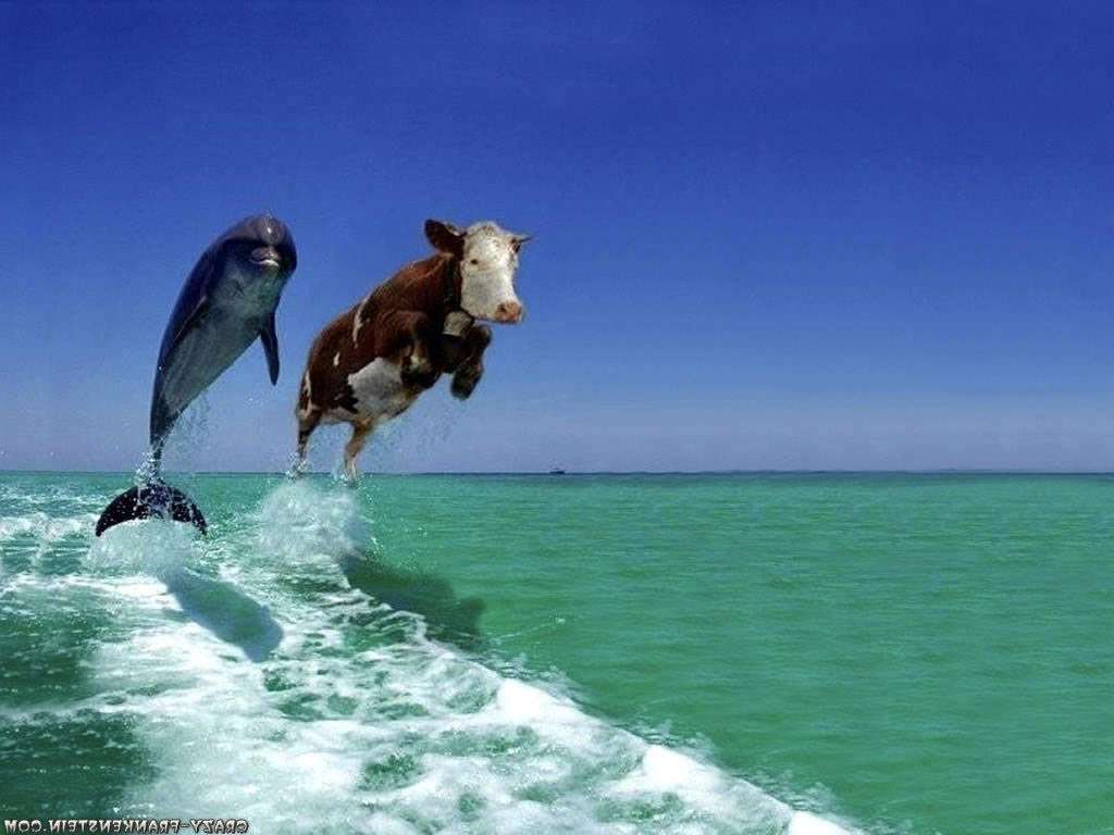корова в океане онлайн-пазл