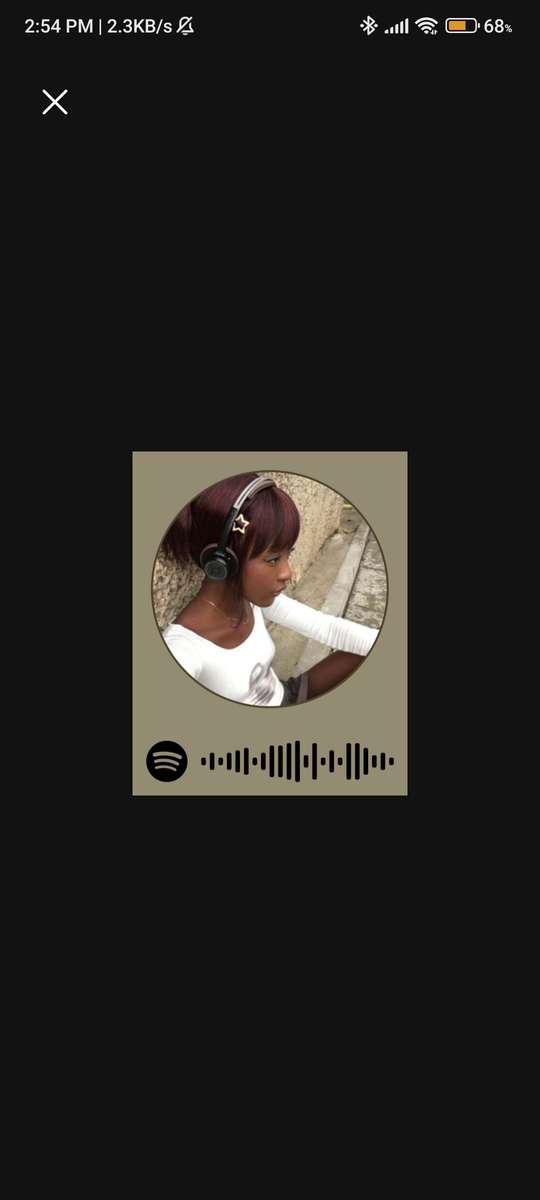 meu Spotify puzzle online