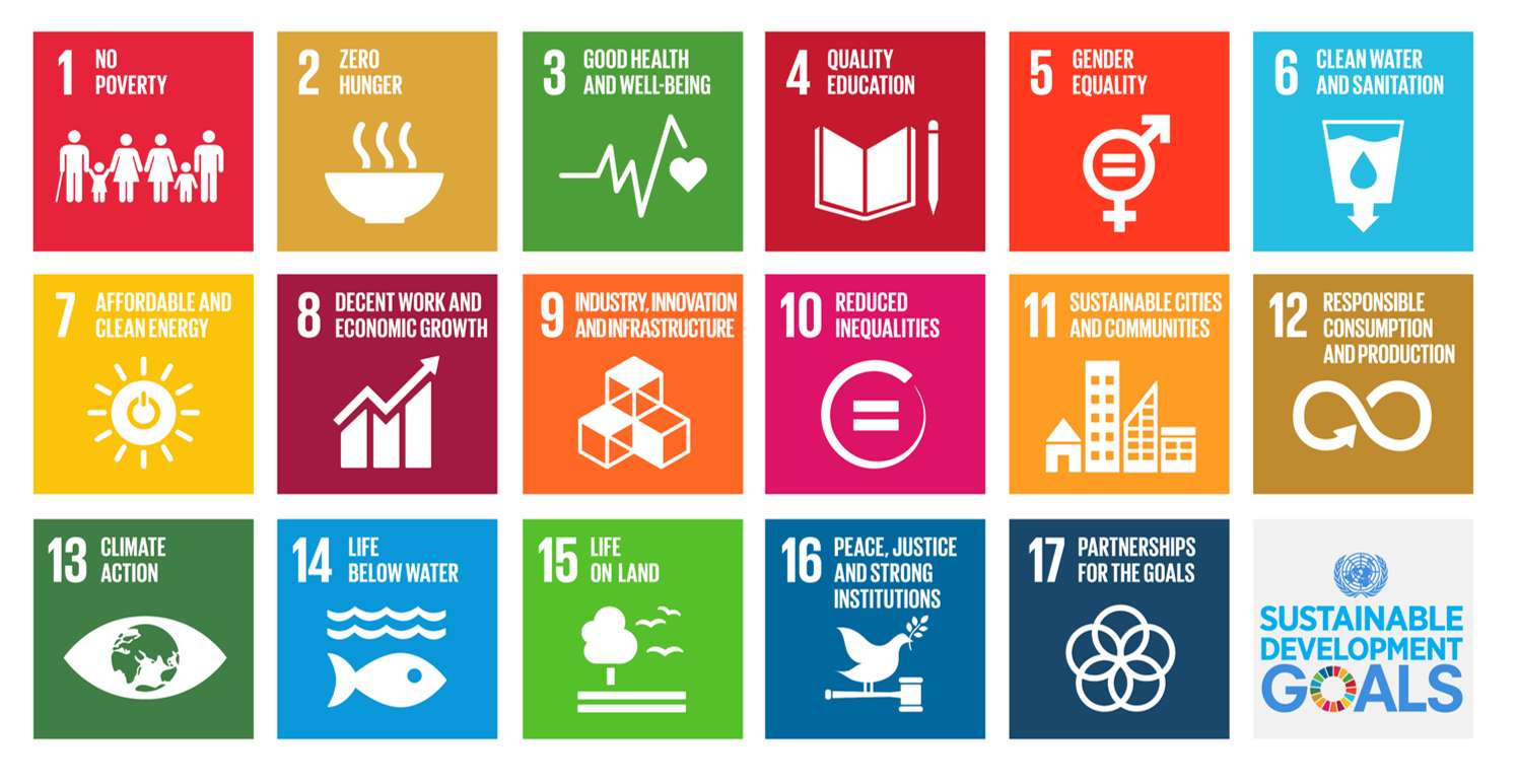 Sdgs game puzzle online from photo