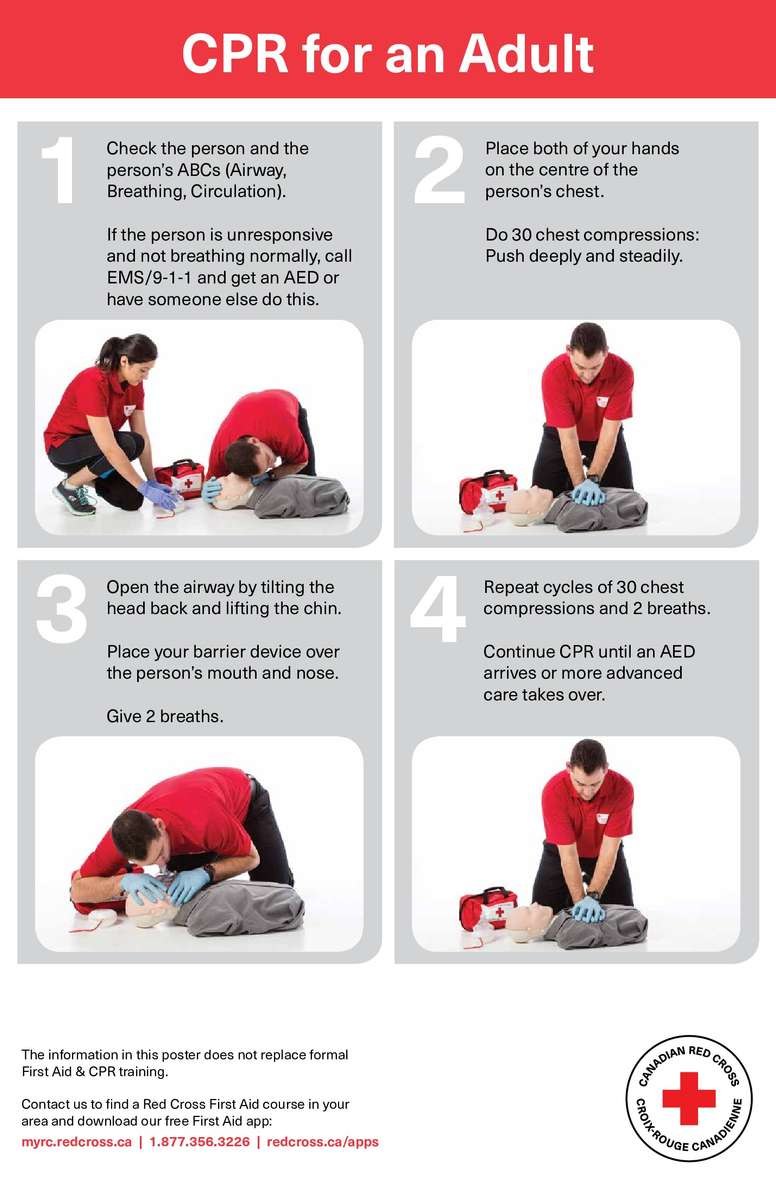 CPR Puzzle puzzle online from photo