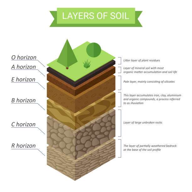 layers of soil online puzzle