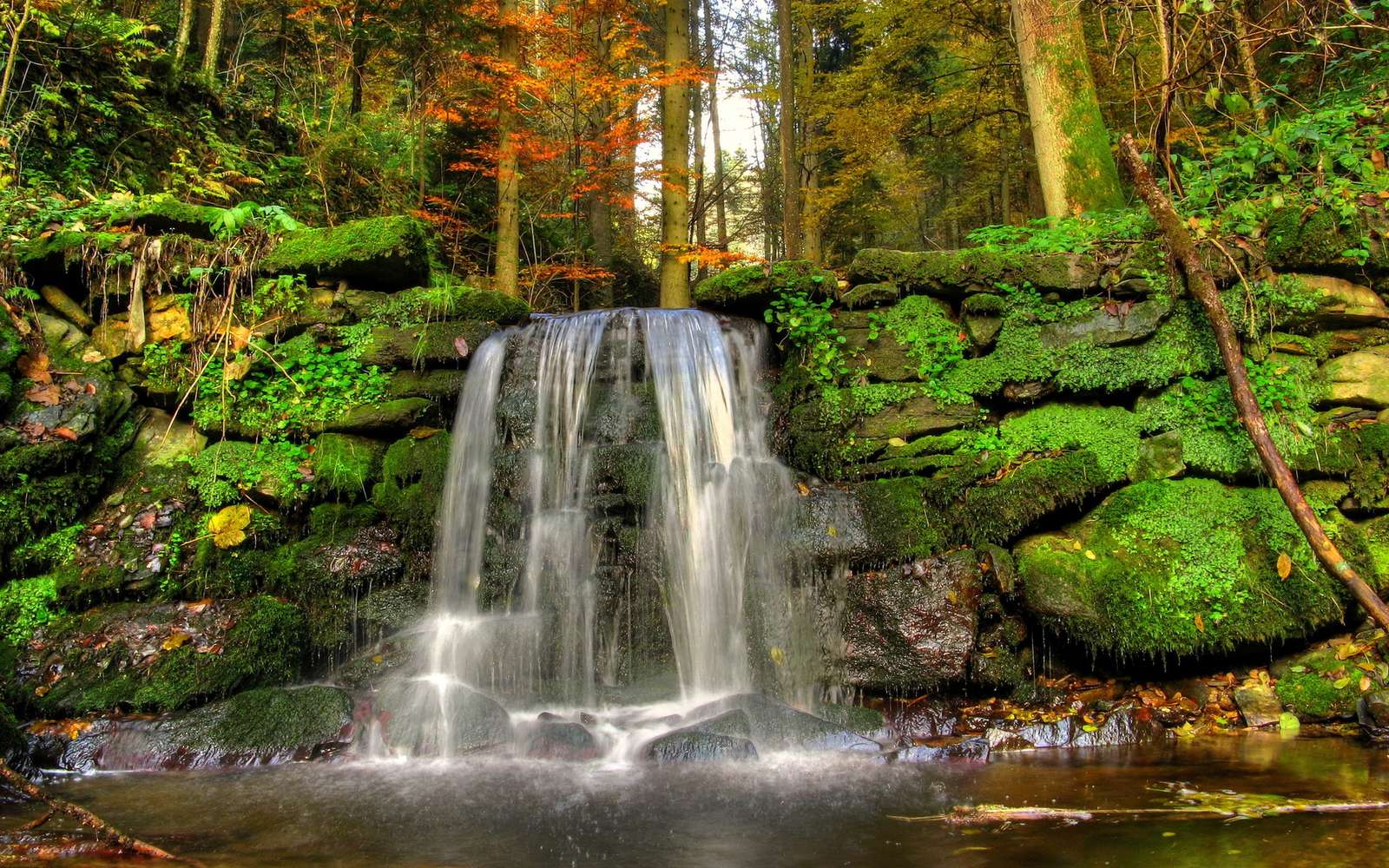 Wasserfall im Wald Online-Puzzle