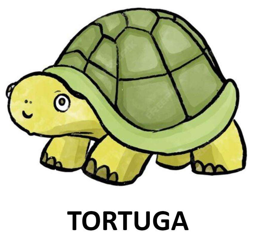 TORTUGA - INFANTIL puzzle online a partir de foto