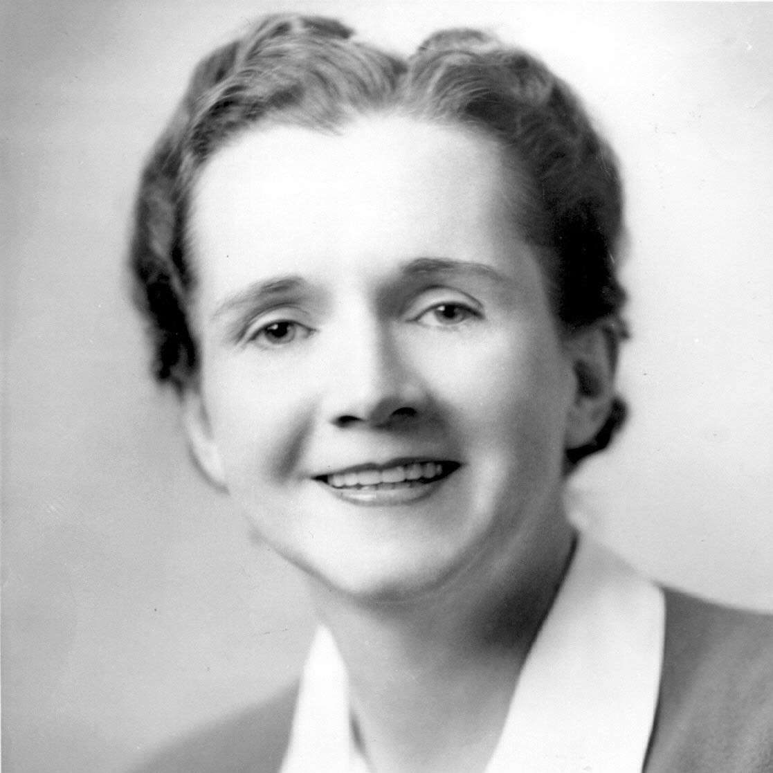 Rachel Carson online puzzel