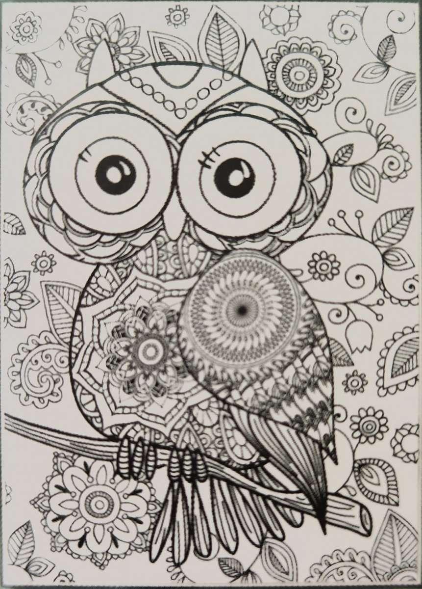 Black & white owl online puzzle