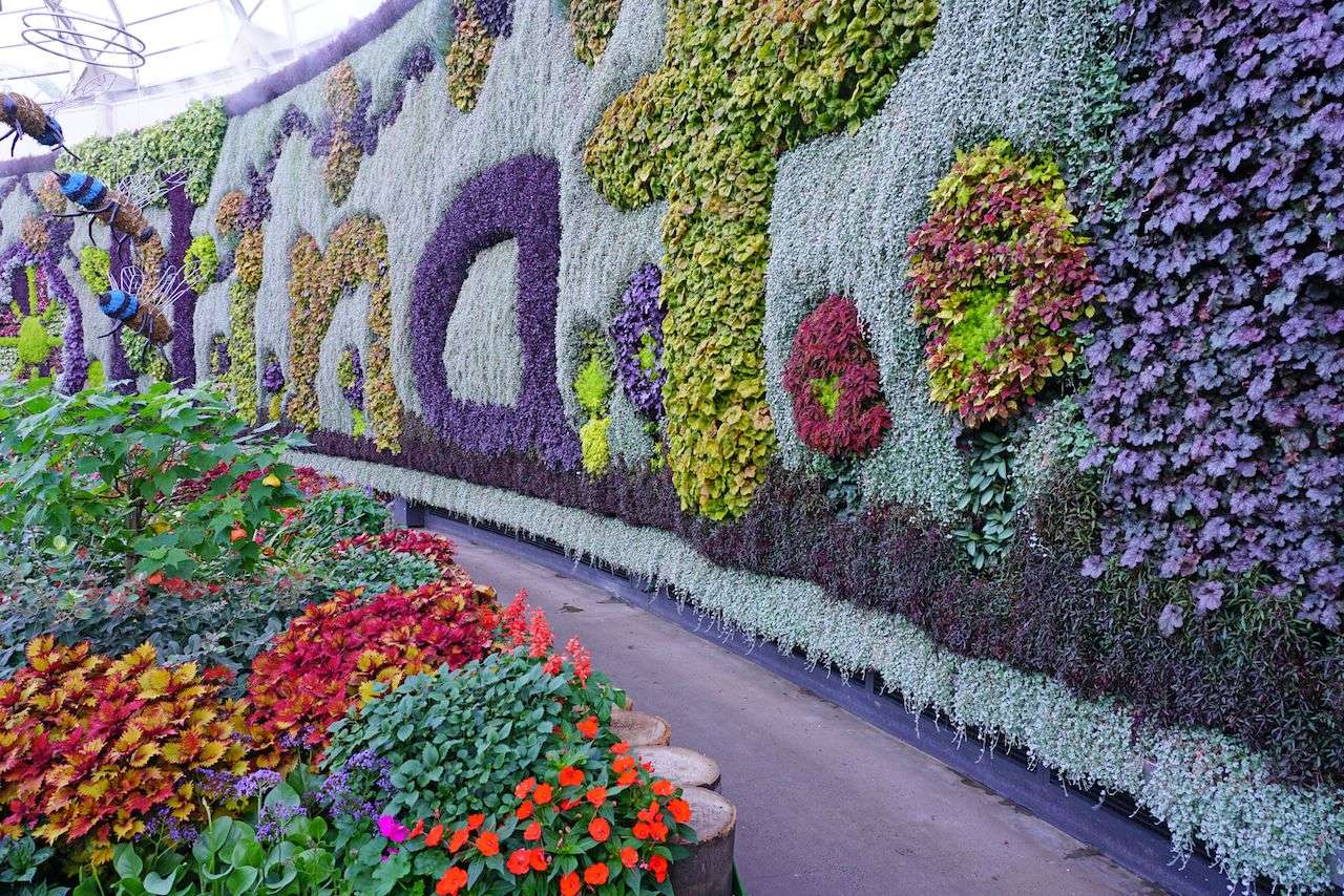 Muur van bloemen puzzel online van foto