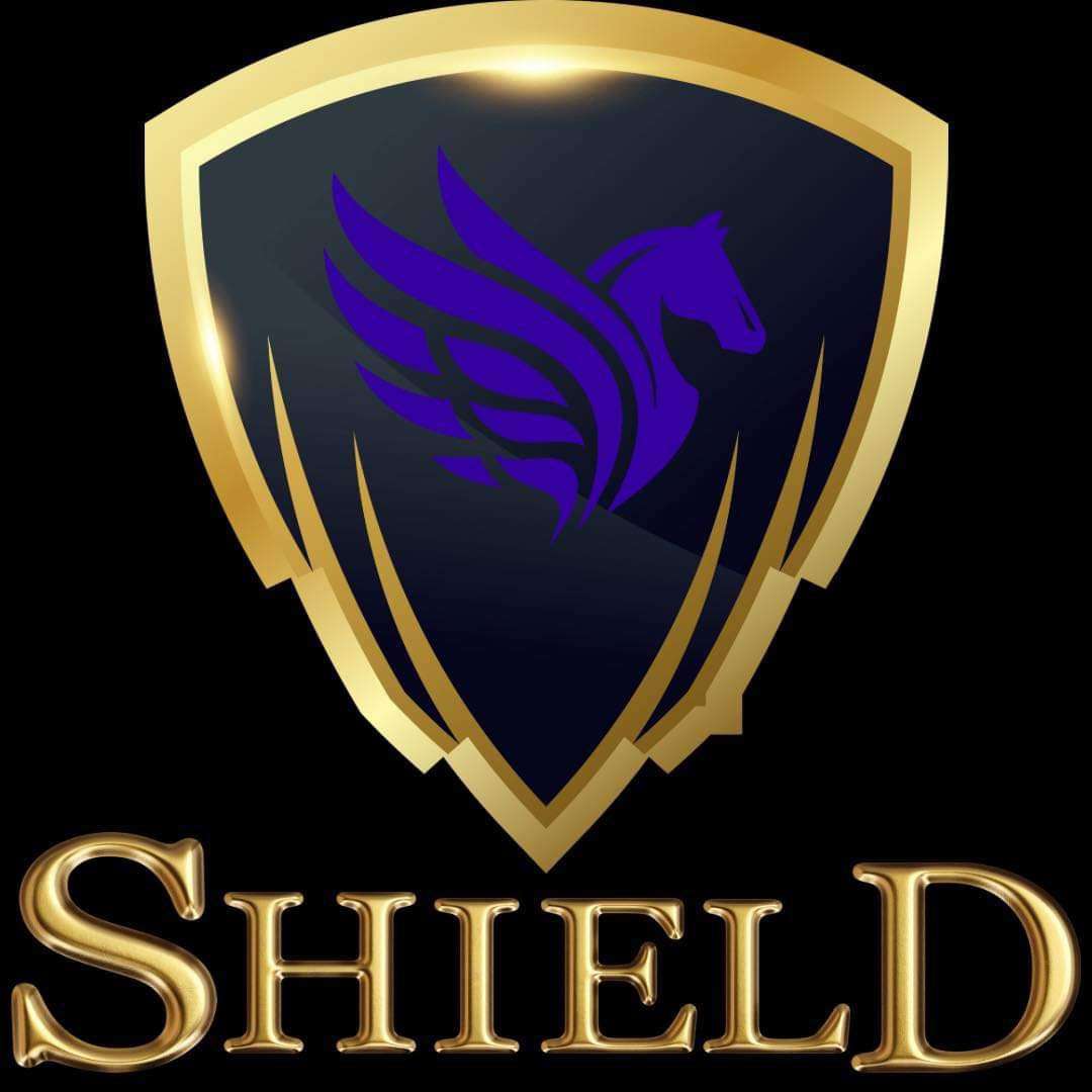 Shield puzzle online puzzle